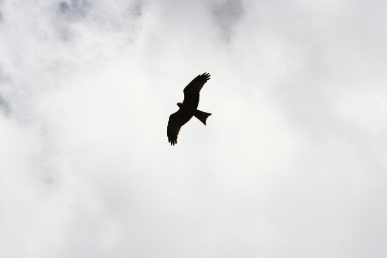 On loving and letting go