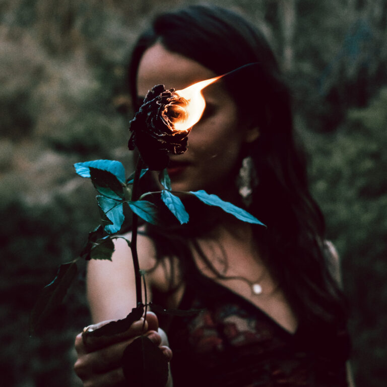 flaming rose
