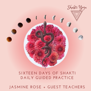 Sixteen days of Shakti: Begins 18th January 2026